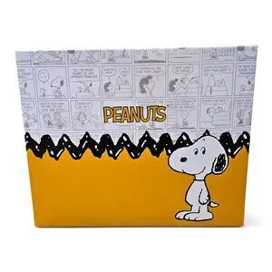 Peanuts | Bags | Peanuts Snoopy Crossbody Purse Bag Charlie Brown Charm ...